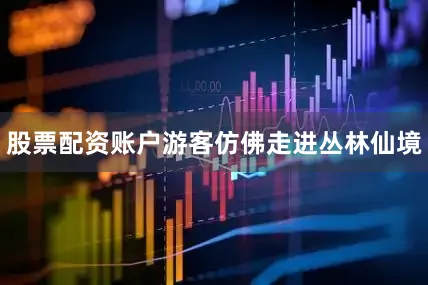 股票配资账户游客仿佛走进丛林仙境