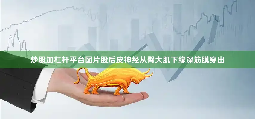 炒股加杠杆平台图片股后皮神经从臀大肌下缘深筋膜穿出